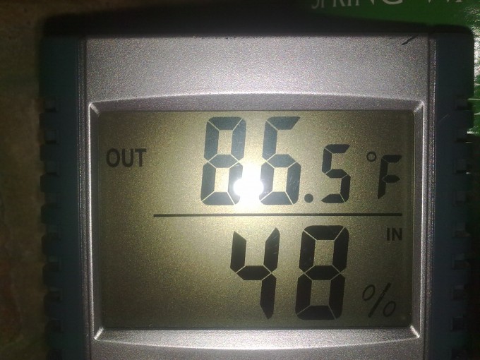 Week 2 Day Temps.jpg