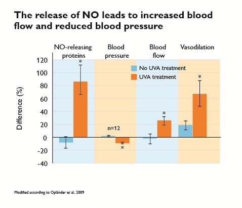 increased_blood_flow.jpg