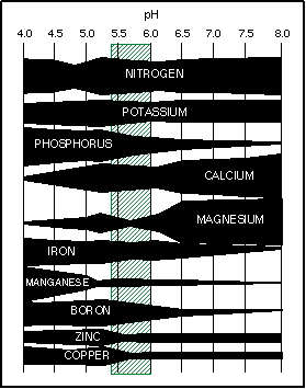 pH chart.gif