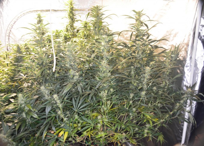 day 59 BA 1.JPG