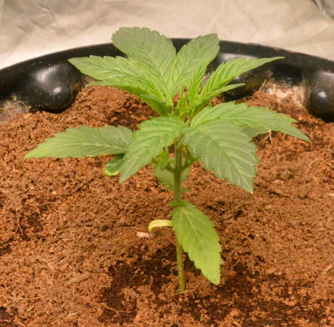 day 20 BA.JPG