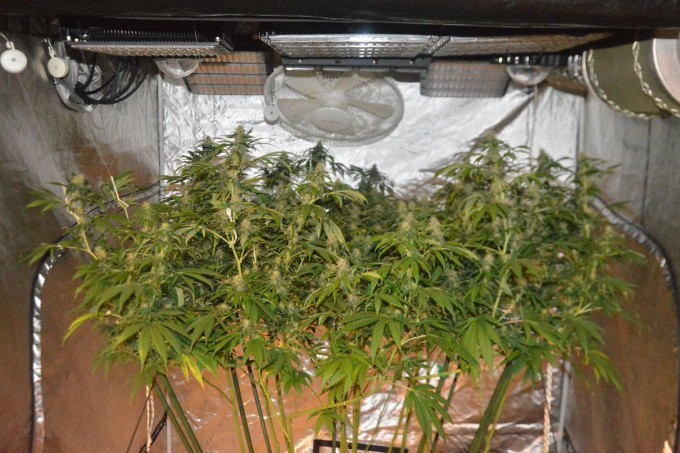 Day 104 BA 1.JPG
