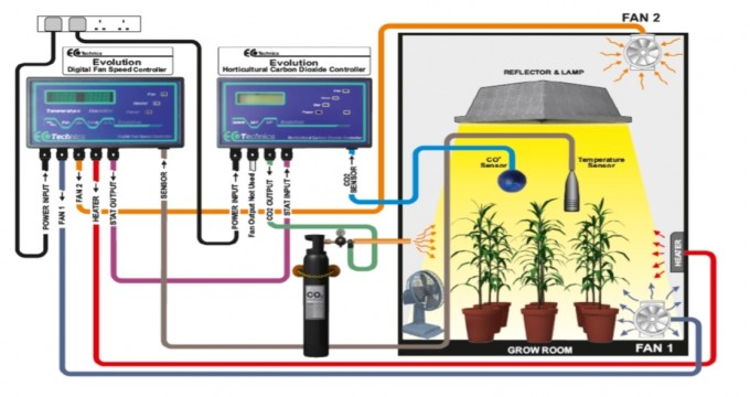 ecotechnics set up.jpg